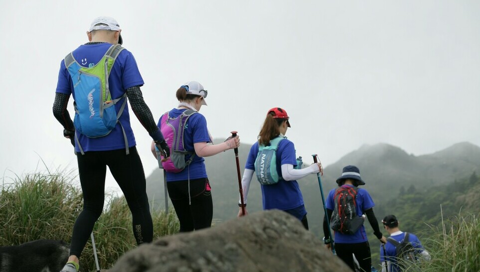 Group of hikers using a walking stick in hilly areas with rocks and long grass