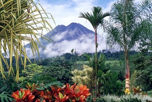 Image of jungle and flowers in Costa Rica with a volcano in the background