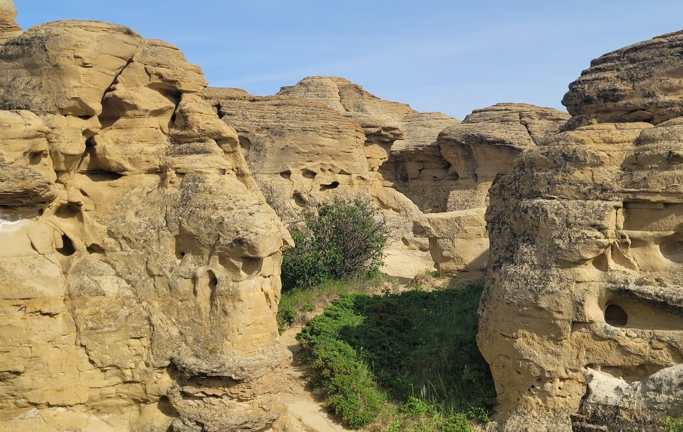 the trail through the hoodoos at Writing on Stone Provincial park