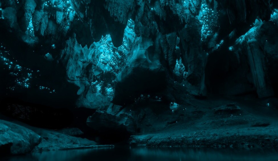 The Mystical Caves of Waitomo, New Zealand